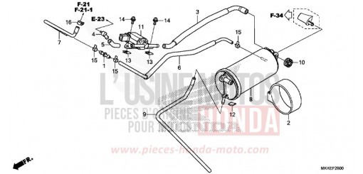 CUVETTE CRF1000DK de 2019